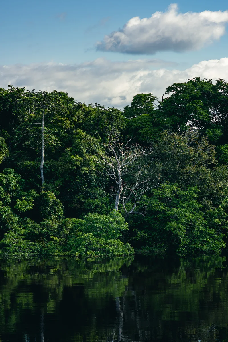Personal Work — photo 21 by Daniel Pinheiro
